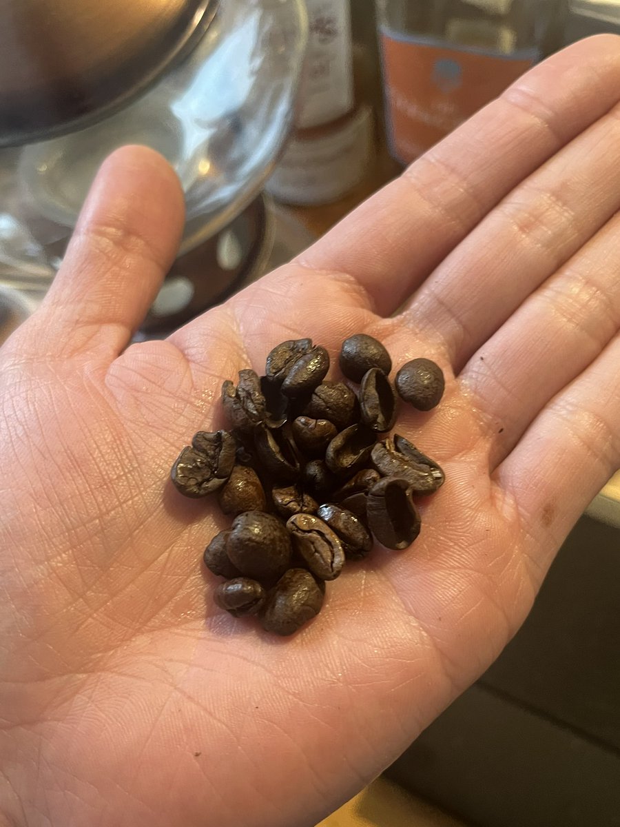 毎度どうも、芽花椰豆です。

コーヒー豆を焙煎する過程で商品になり得ない"欠点豆"が生じます。
ずっと何かに使えないかなぁと思っていたのですが…

今日、2月3日節分。
出番かもしれません