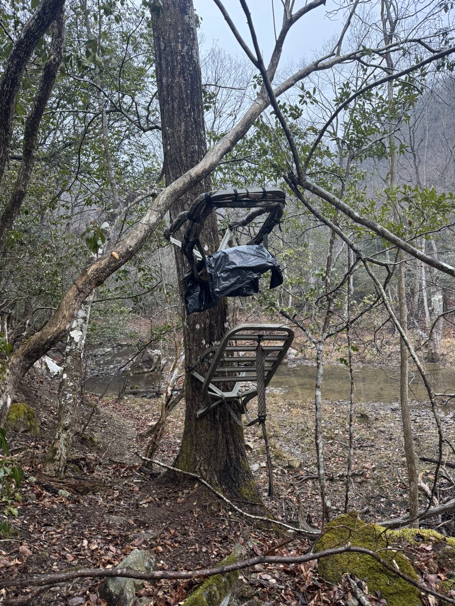 BGSJapan tweet media