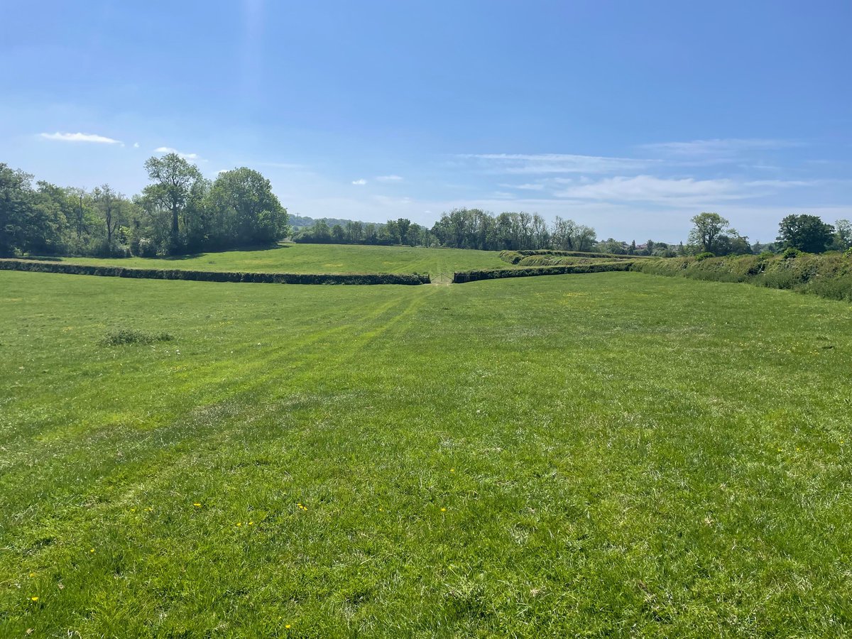 REI magazine tweet media