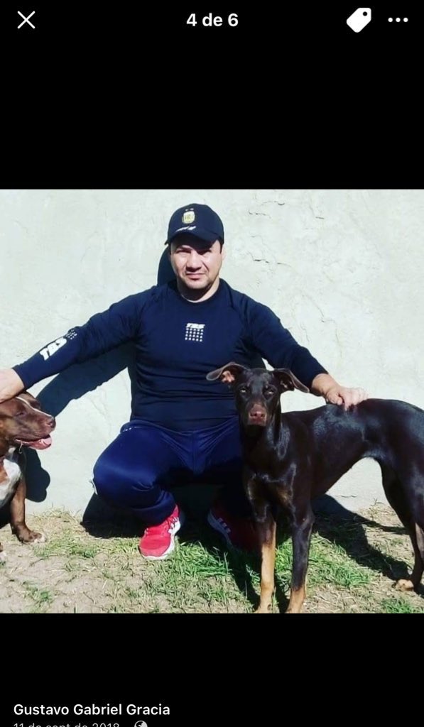 gggiu_ghisolfi's tweet photo. @porqueTTarg Fue en UNL Santa Fe. Y el responsable dueño del perro es GUSTAVO GABRIEL GRACIA. Lo dejó muriéndose a nuestro garrafa y se fue como si nada con el perro. La denuncia ya está hecha pero no sirve para mucho. Esta es su cara https://t.co/m2aYPxJngh