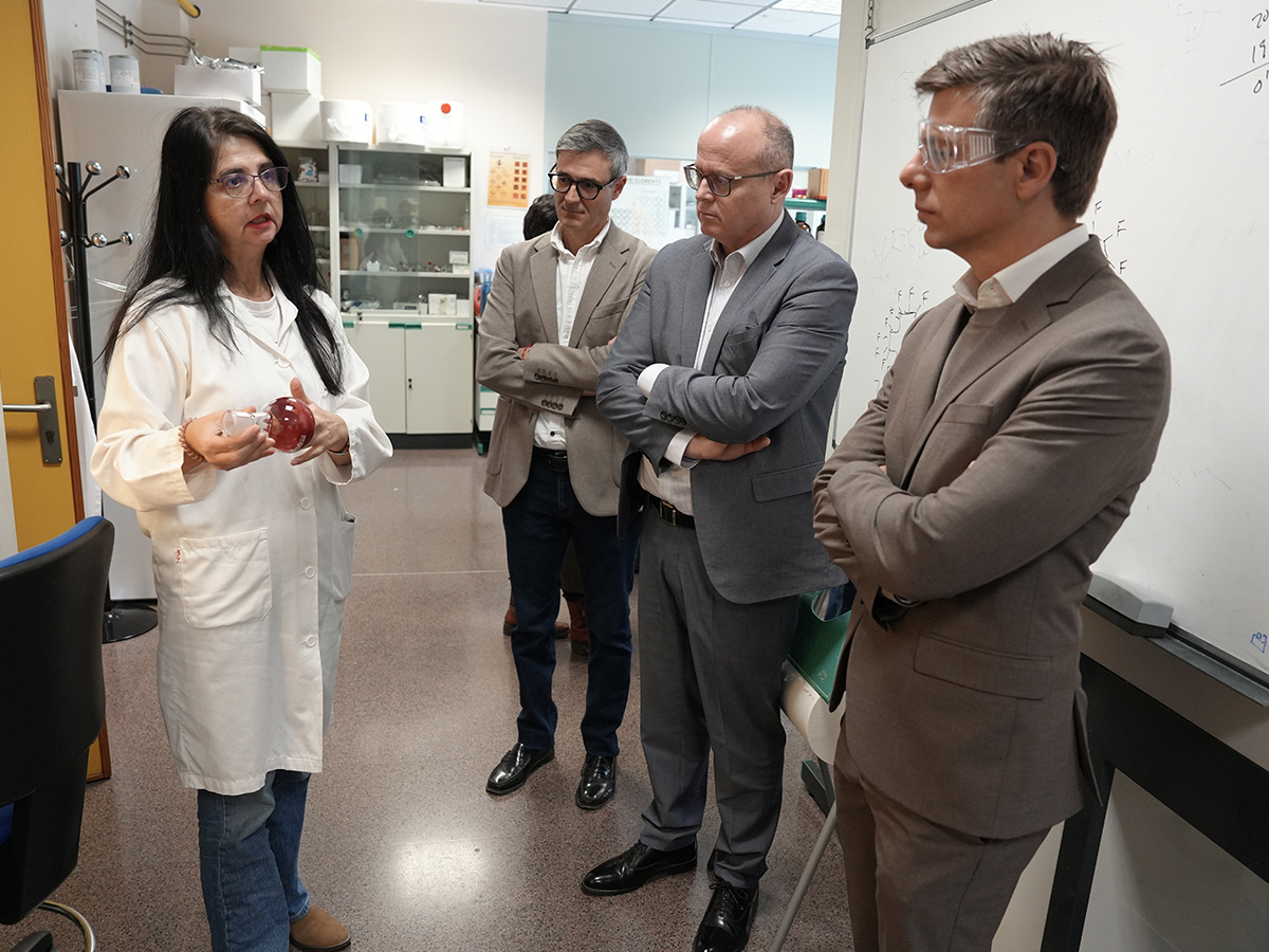 RectorUMH tweet media