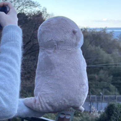 ac0xp's tweet image. ツチノコみたいなカワウソで愛おしい