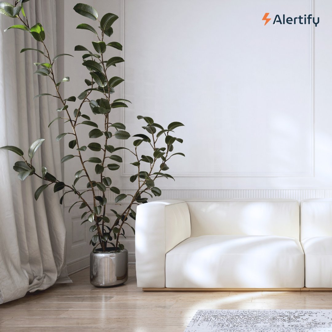 alertifyio tweet media