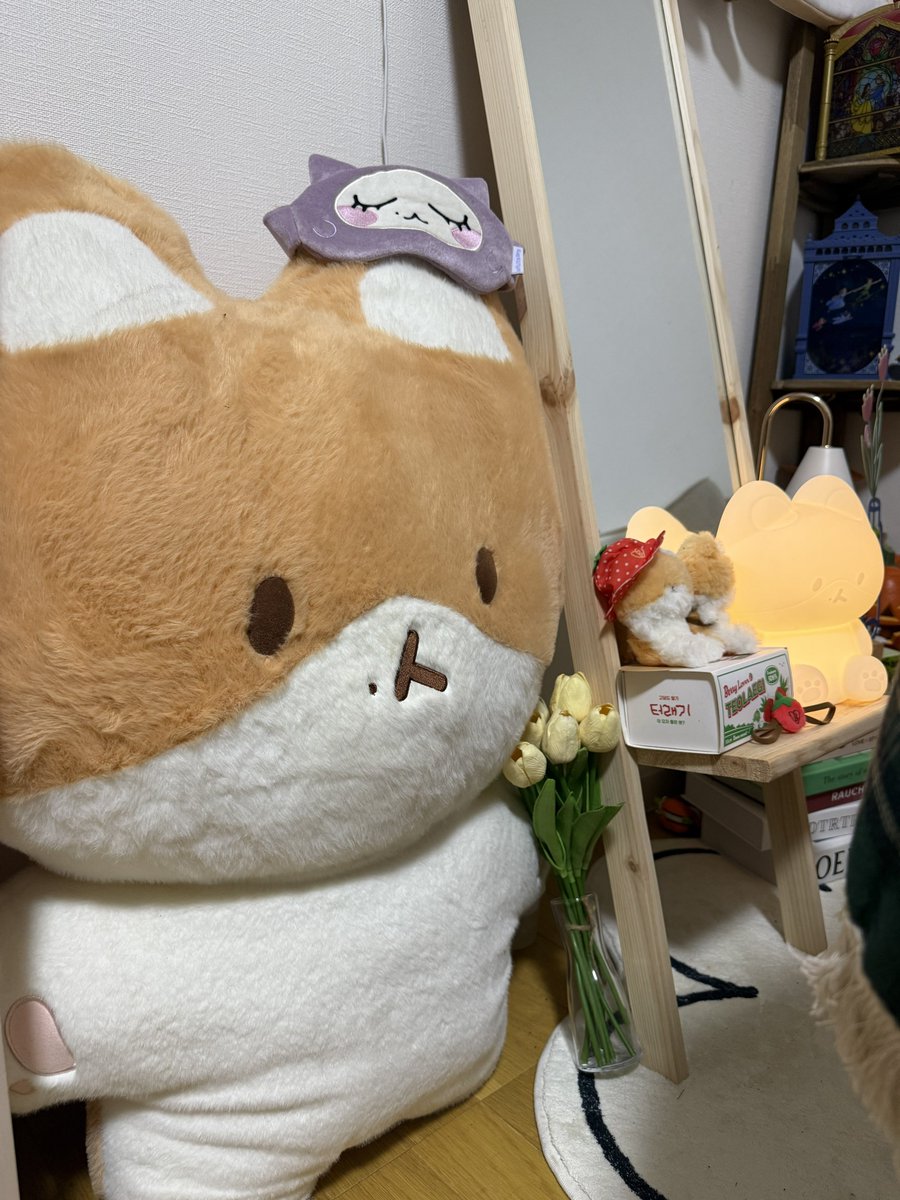 백만년만에 터래기존 정리 좀 해봤다 
방치해서 미안햇다 터래기야