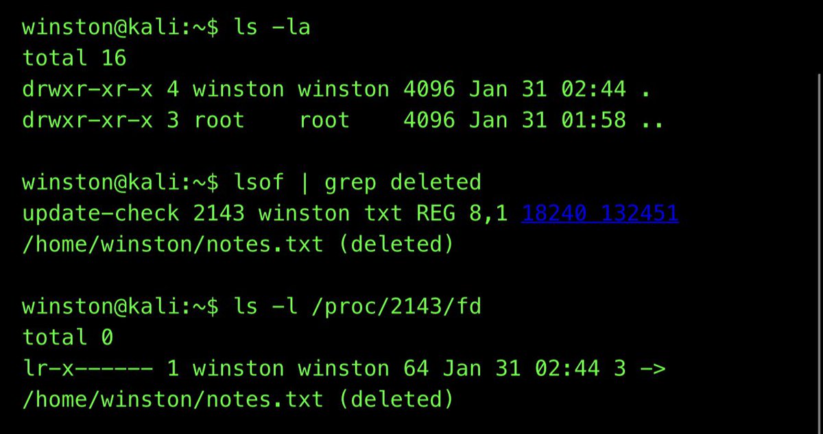 On Linux, deleting a file only removes its name from the filesystem. If a process is still using that file, the data stays alive in memory until the process exits. Attackers often delete tools or logs immediately after execution, assuming the evidence is gone. In reality, Linux