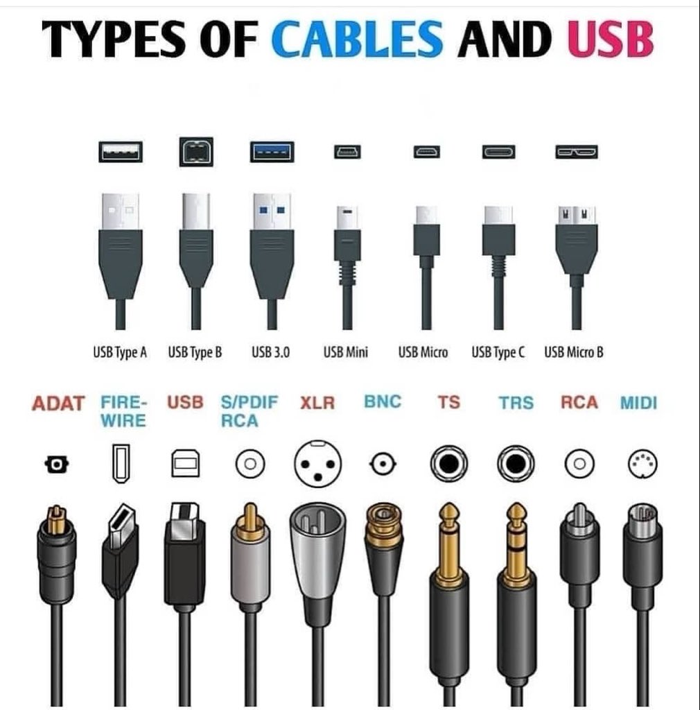 ( HORNY GIRL) (@iamletina) on Twitter photo 