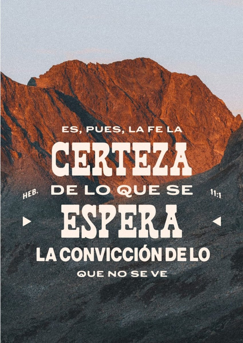 Frank Schröder tweet media