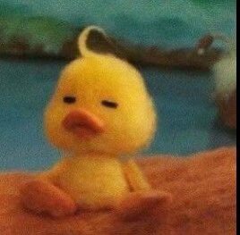 백현이 오리랑 똑같네 큥오리