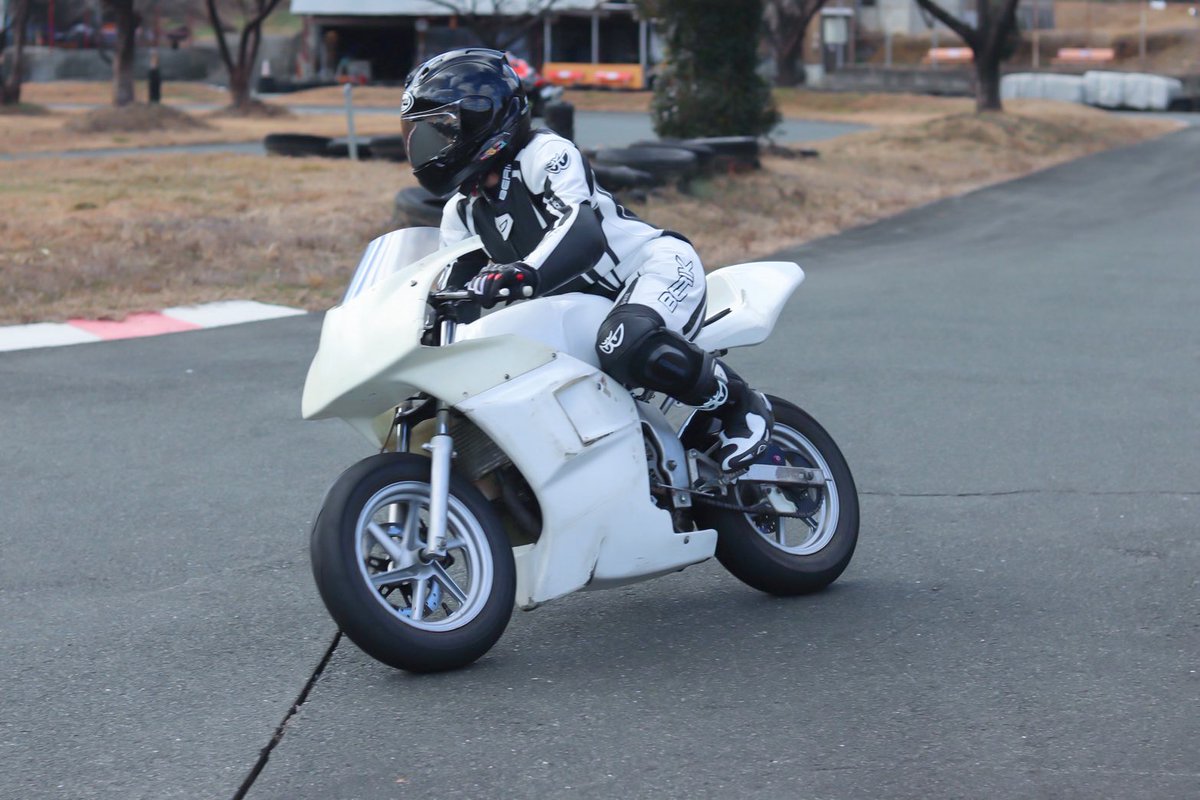 ぽんちゃん (@EQv57P3LtbAZOX5) / Posts / X