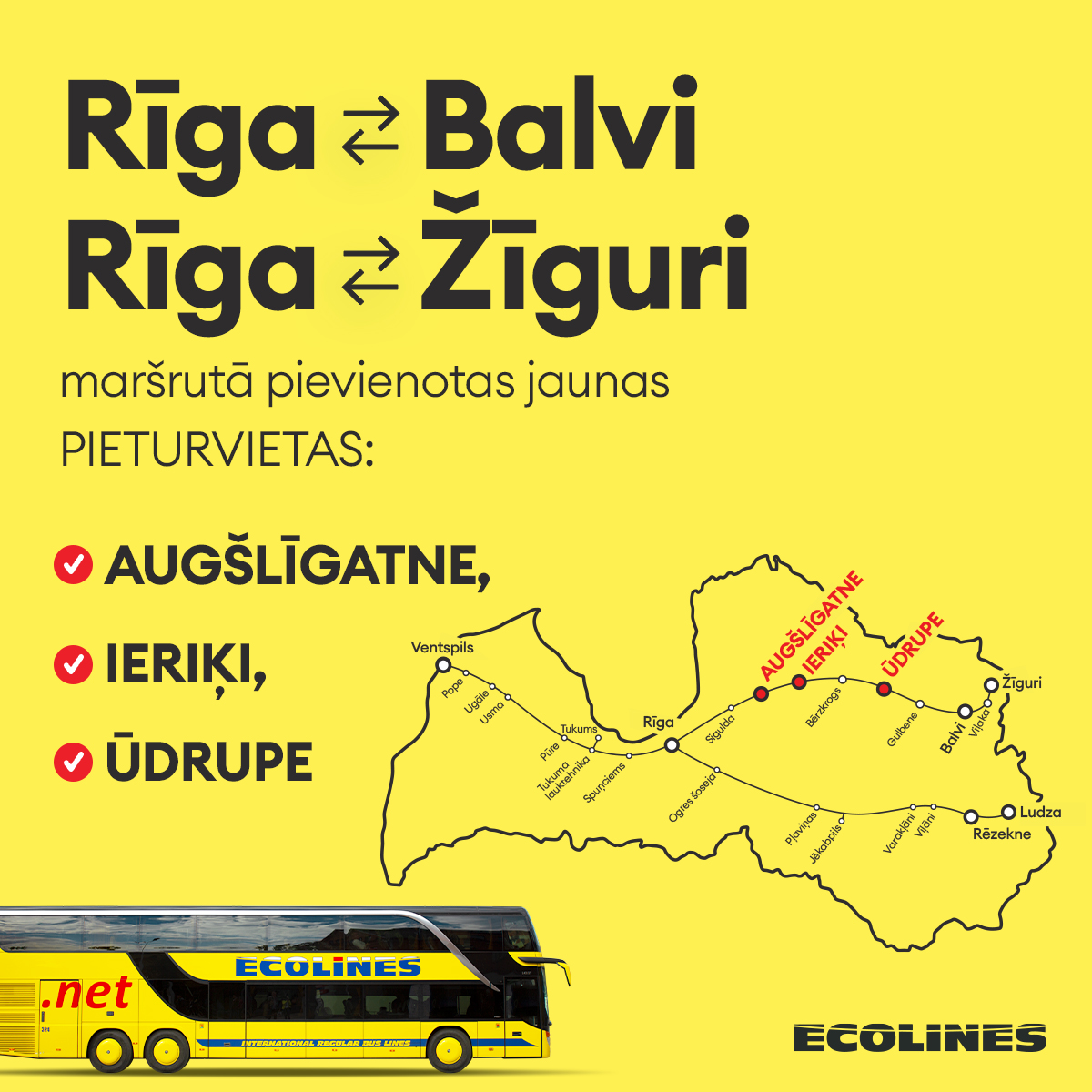 Ecolines tweet media