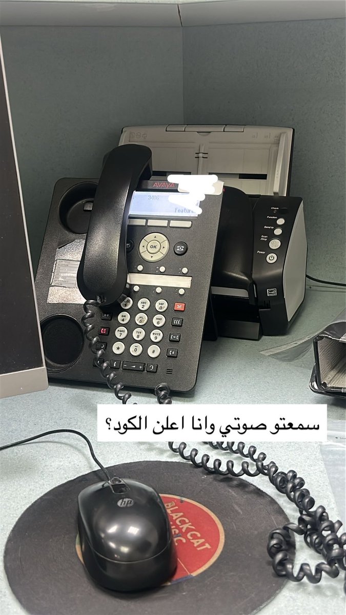 rn.𝔹𝕀ℝ𝔻 tweet media