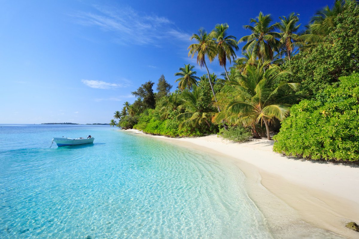 Franzz4's tweet photo. Promo imperdibile Eden Viaggi!!
Tantissime destinazioni in tutto il mondo con sconti fino a €300!!!
Prenoti ora ( Agosto incluso ) e paghi dopo con assicurazione
inclusa nel pacchetto. Trova la tua meta ora!!!
Link per info e prenotazioni: https://t.co/8vilwIeJ71 https://t.co/nKAnec23H3