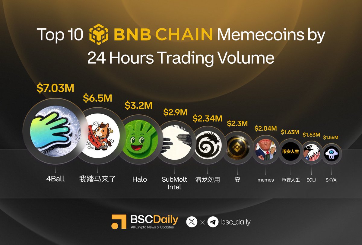 BSCDaily tweet media