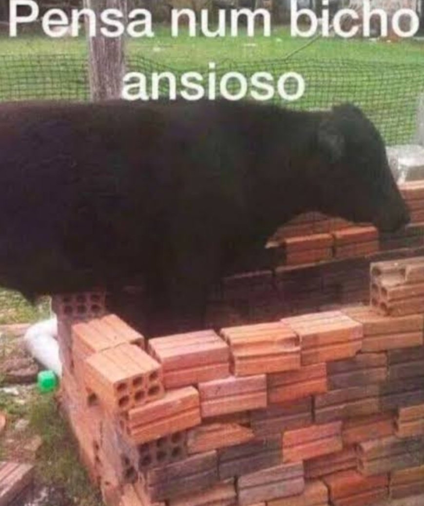 quero ir buscar Dalila sábado