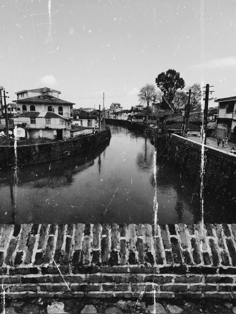 Lia.☘︎ ݁˖ tweet media