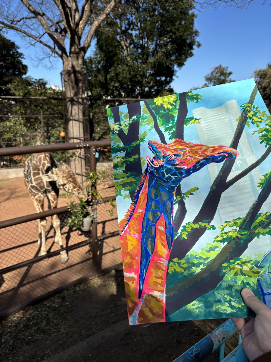 モデル🦒さんに絵を見せてきました！ 葉っぱ食べるのに夢中でした