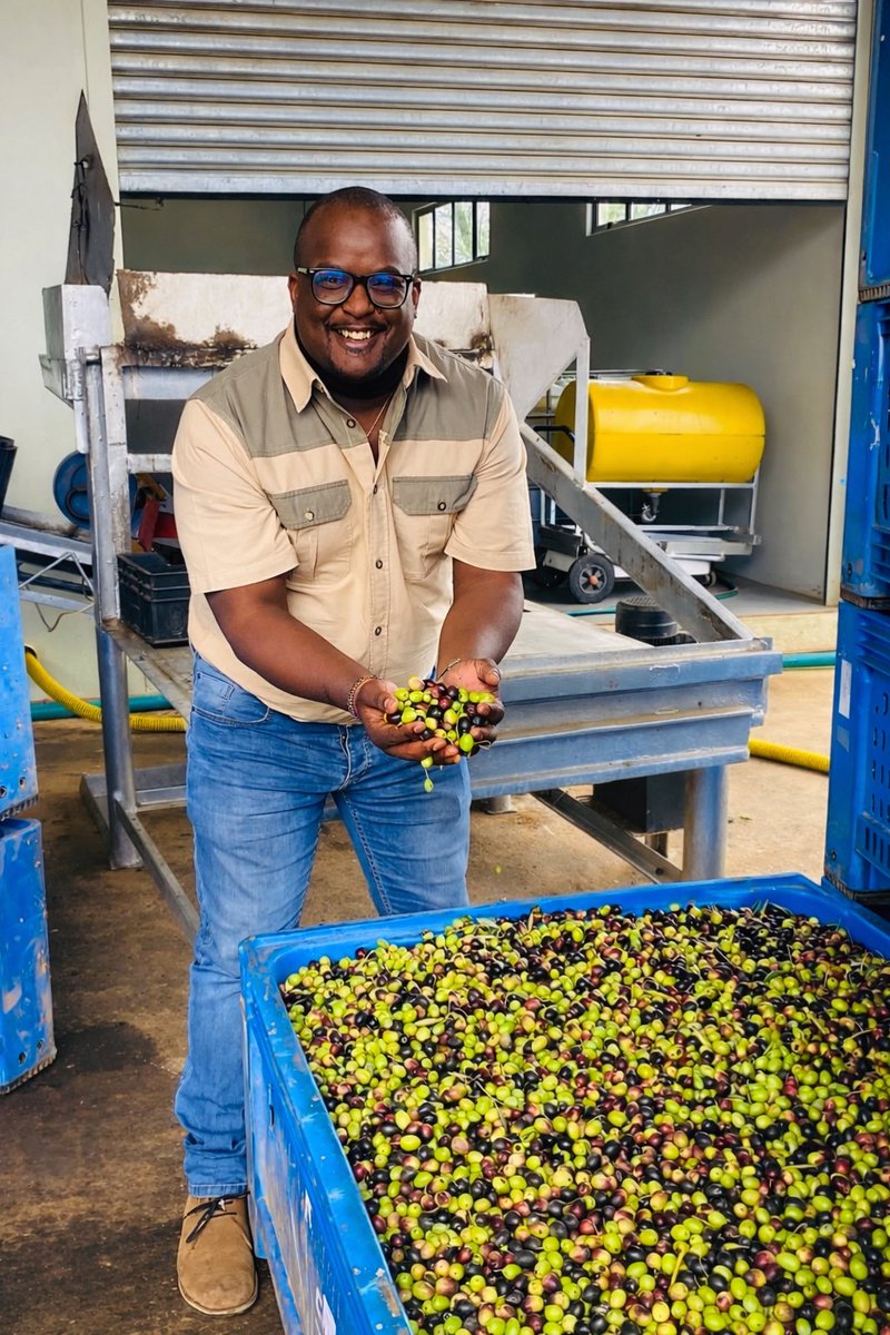 KasiEconomy's tweet photo. Young man manufactures olive oil.

Meet Loyiso Manga an entrepreneur who produces South Africa's first black-owned olive oil called Ubuntu Extra Virgin Olive Oil available at all Woolworths stores nationwide and selected Spar stores.
For more : 073 836 5185 https://t.co/IlSX8mjL7o