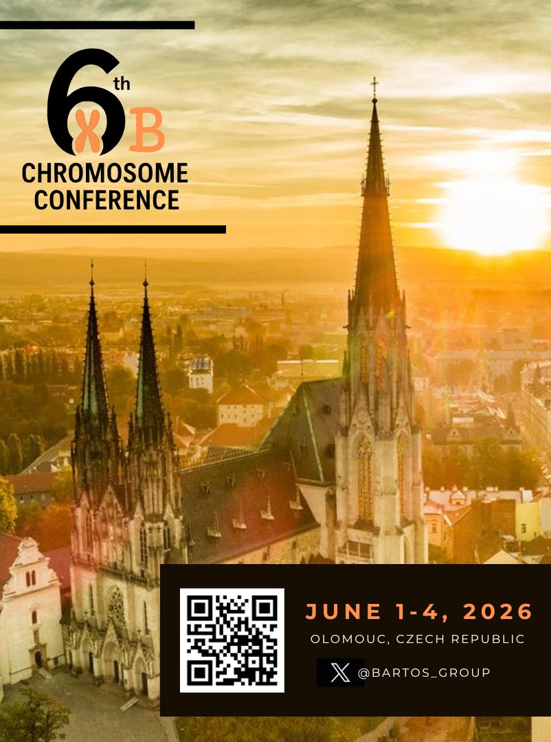 Plant B chromosome biology research group (IEB) tweet media