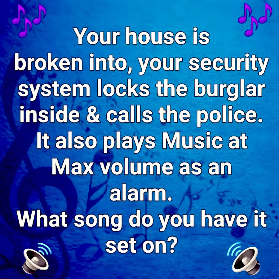 LadyValor tweet media