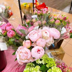 Flowers speak the language of the heart 🌸💐 spreading beauty, peace, and joy wherever they bloom 🌿✨ A gentle reminder to grow with grace and shine in your own way 🌼💛