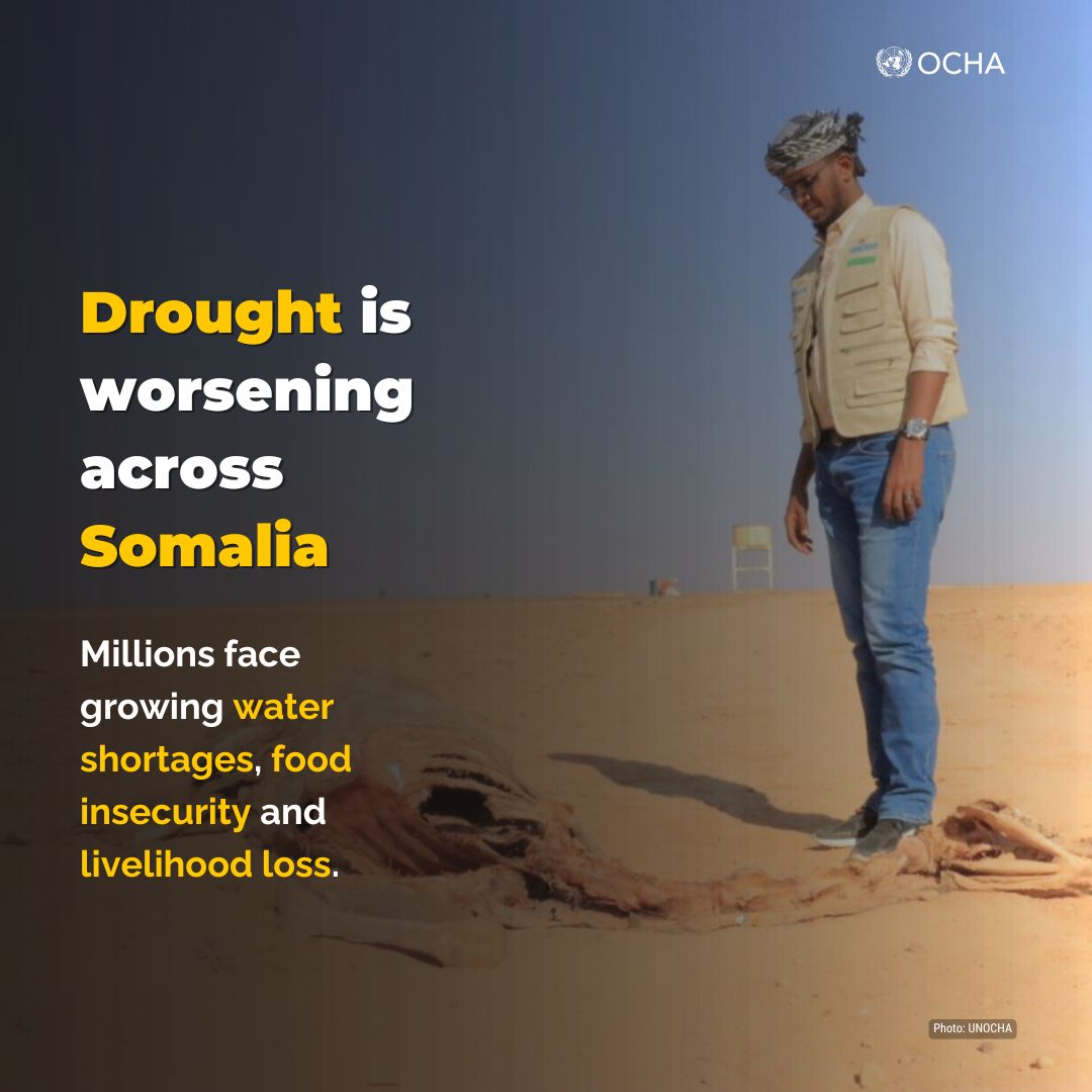 OCHASom's tweet photo. How many people in #Somalia are facing drought 🌵, water shortages 🚱 and food insecurity 🌾?

Which regions are hardest hit? 🌍

Find the answers in our latest SitRep: 

🔗https://t.co/8NdaZgPJvp https://t.co/K47NhRdQ78