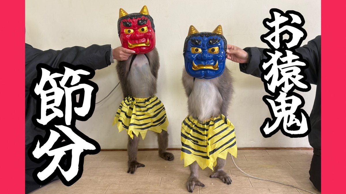 youtu.be/ZcNHkJgsDYw?si…

節分動画公開しました🌟