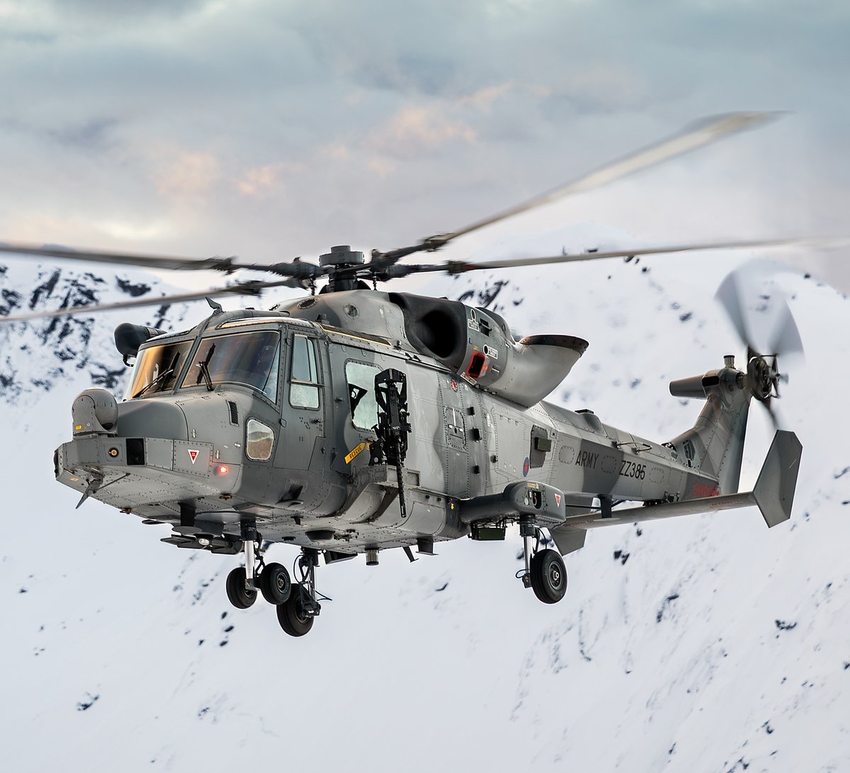 Navy Lookout tweet media