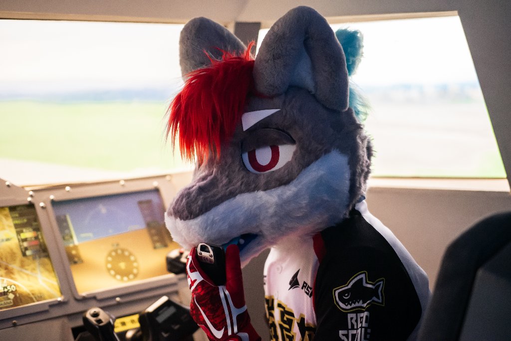 Red Scale Rangers 赤鱗先鋒 獸無限 Infurnity2025 tweet media