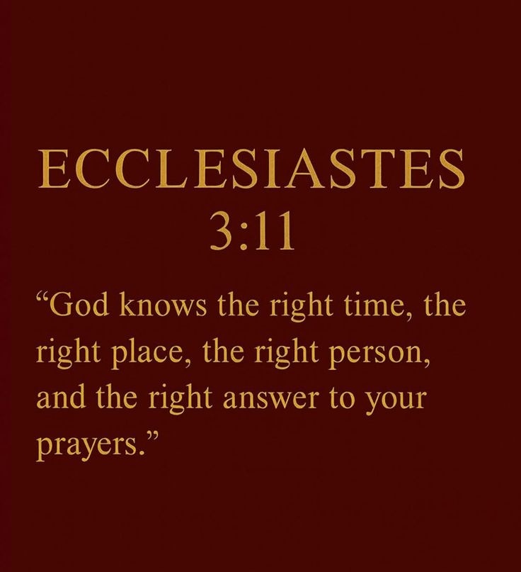 The__Bible7's tweet image. Ecclesiastes 3:11