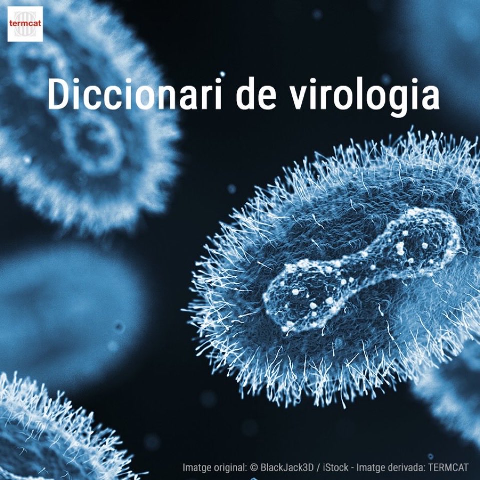 entretermes's tweet photo. Em fa molt contenta haver treballat en aquest projecte. Moltes gràcies a l'equip científic!
Susana Guix
Núria Busquets
@JJLopez_Moya
@MasBofill
@XavierAbadMdG
@cragenomica @CReSA_r @BiologiaUB
https://t.co/ntyElFoDGH https://t.co/xEqHpL01TA