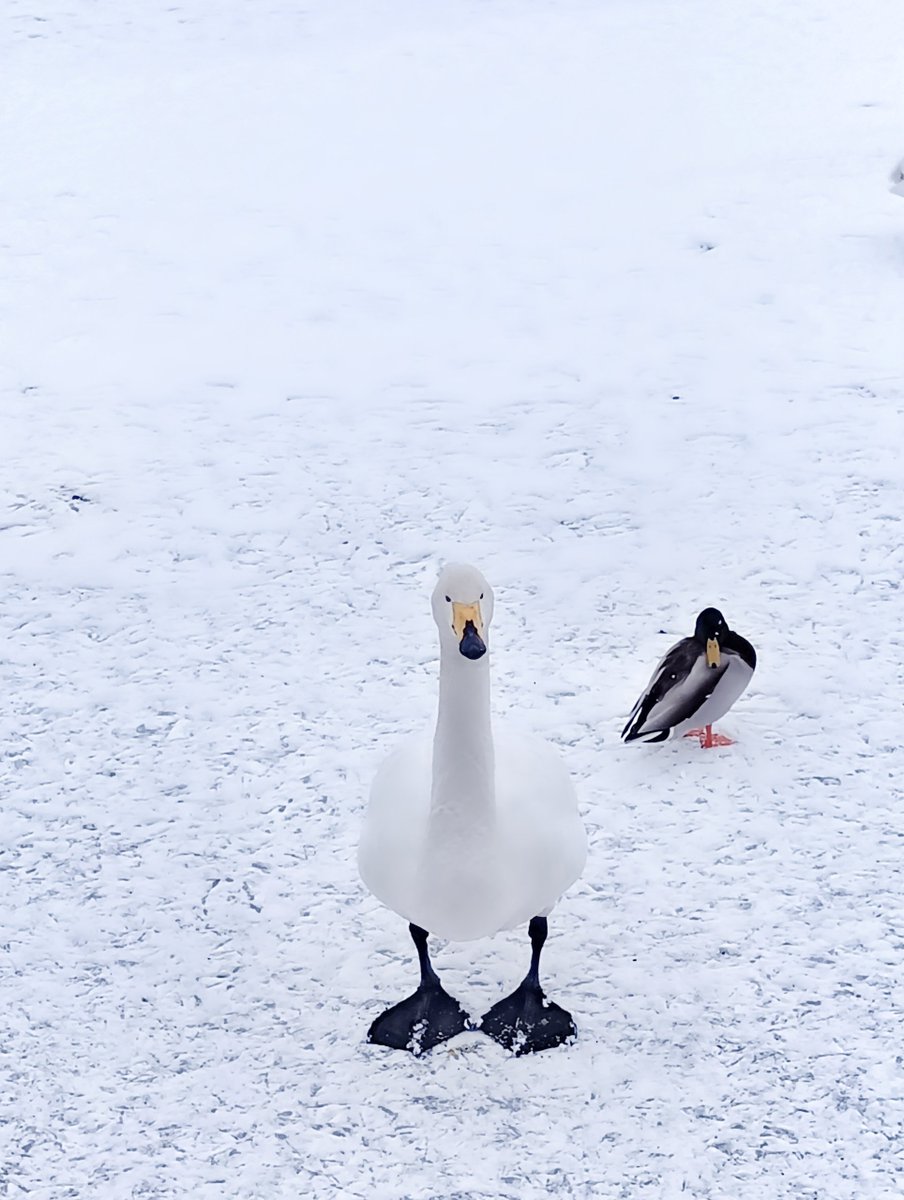 せいちゃん🍀✨ (@Seichan_happy7) / Posts / X