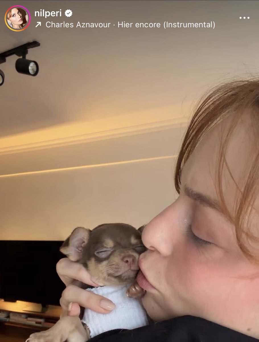 baschakt's tweet photo. Gitmiş, köpek satın almış üstelik ve bunu cicili olduğunu düşündüğü videosu ve isimle teşvik ediyor. Neden hiçbir diziyi, filmi izlemiyorum işte bu bilinçteki ünlülere para kazandırmak istemiyorum. #satınalmasahiplen https://t.co/VFHwGfao35