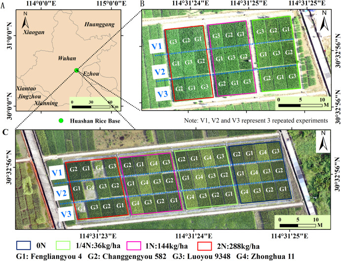 PPhenomics's tweet photo. NDAVI: A novel vegetation index integrating remote sensing absorption coefficients for accurate rice fAPARgreen estimation throughout the entire growth cycle, including senescence. #UAV #CropMonitoring
Details: https://t.co/y3JWzlh1wH https://t.co/qZfpGWPByt