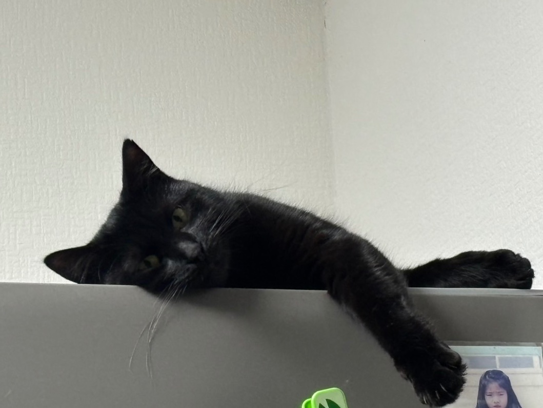 ipo_95's tweet image. お顔、大きいね