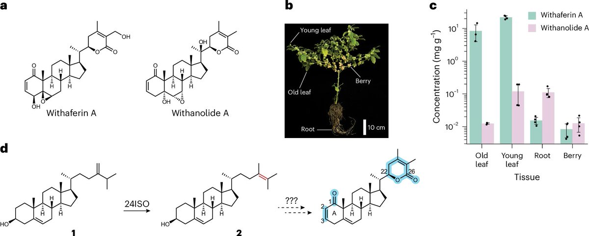 Nature Plants tweet media