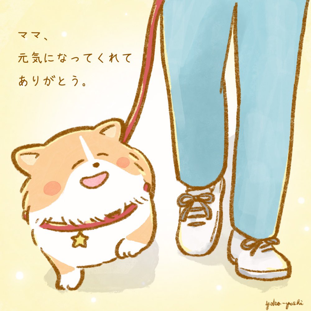 ママが元気になった日🐶