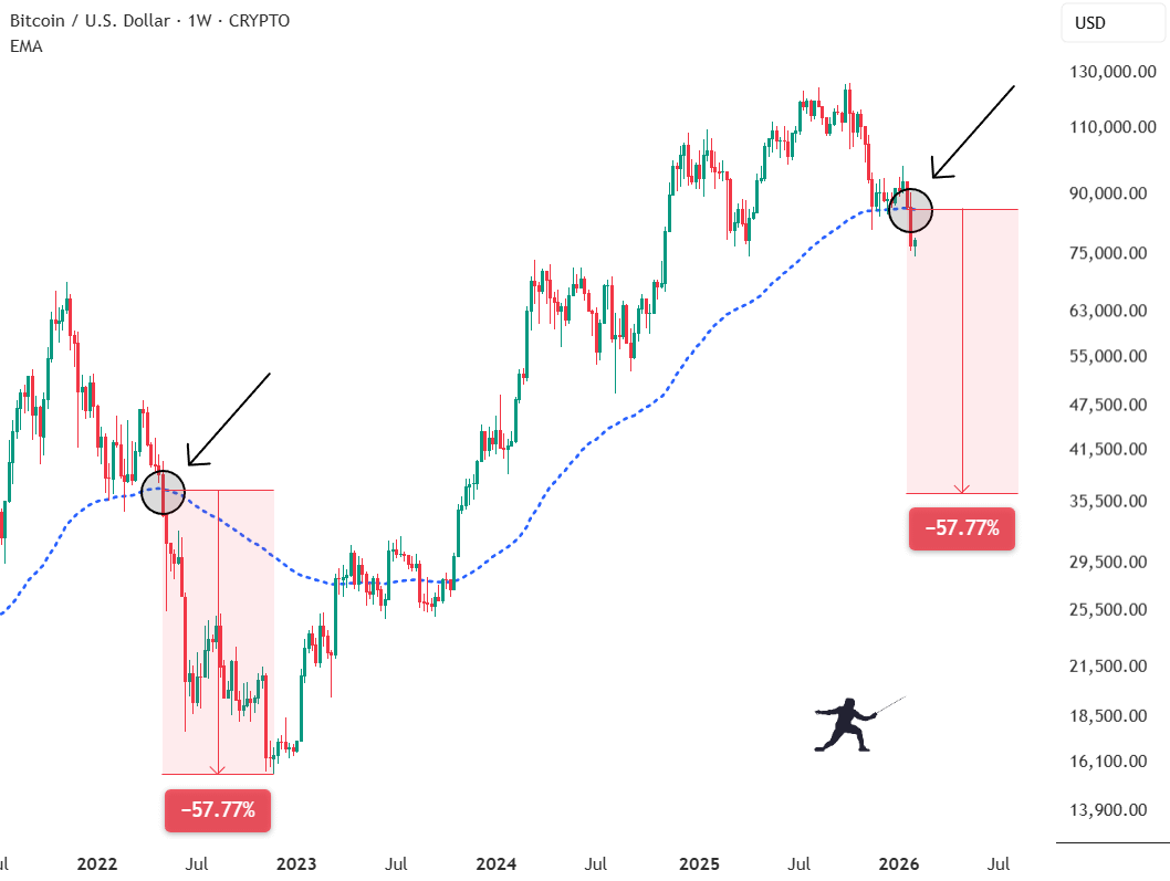 Rekt Fencer tweet media