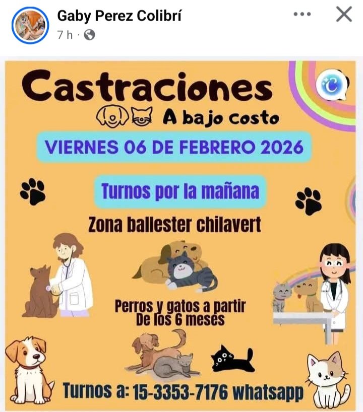 protegealanimal's tweet photo. SAN MARTÍN
#SANMARTÍN #LOMAHERMOSA #BILLINGHURST #JOSÉLEÓNSUÁREZ #SANANDRÉS #VILLABALLESTER #VILLALYNCH #VILLAMAIPÚ #BALLESTER #VILLALIBERTAD #VILLAHIDALGO #CHILAVERT #BARRIOLIBERTADOR #LANZONE #ZONANORTE #ZONANOROESTE #GRANBSAS #BUENOSAIRES #CONURBANO https://t.co/pJK8XNmhpN