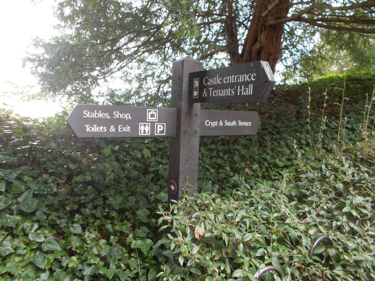 Rob Pike tweet media