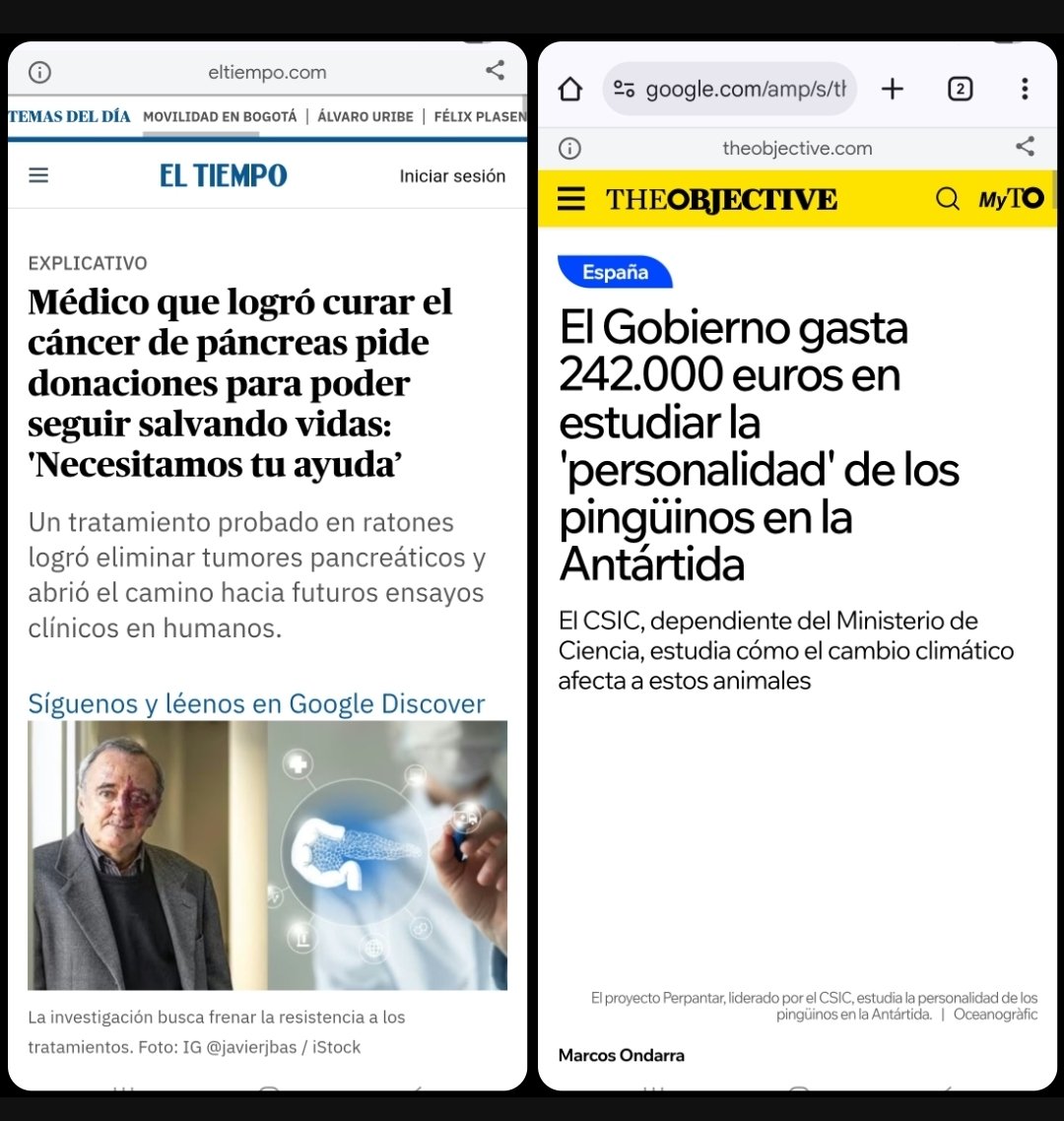 La_Regente tweet media