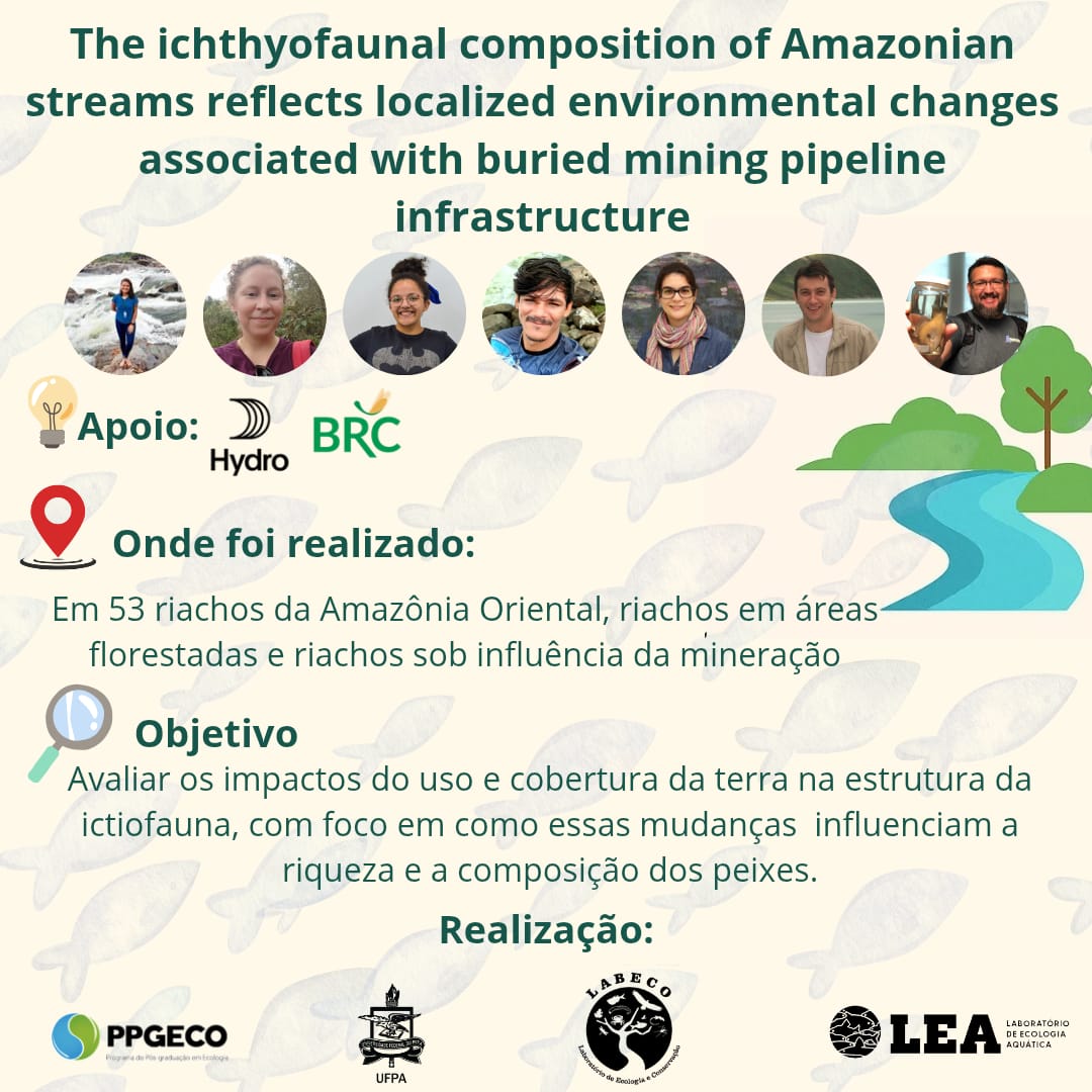 Leandro_Juen's tweet photo. Alterações no ambiente aquático e seus efeitos nos peixes da Amazônia
Em 53 igarapés, riachos preservados foram comparados a áreas com mineroduto subterrâneo. A riqueza não mudou, mas a composição sim: espécies sensíveis deram lugar a peixes tolerantes.
🔗 https://t.co/IIa4IL6xgB https://t.co/r9O01hxqJk