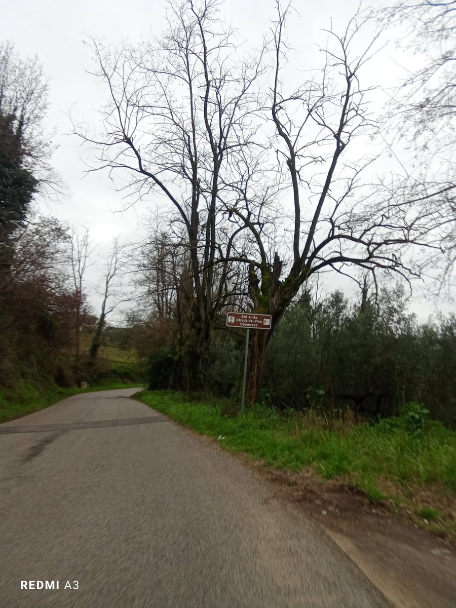 lucananni1010's tweet image. #BuongiornoATutti dopo 75 km tra i boschi sotto la pioggia 🚴🚴⛈️⛈️😜😜😜 chi si ferma è s..perduto tra i monti #rainydays