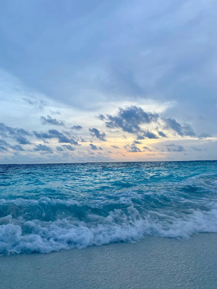 hawsett4's tweet image. 