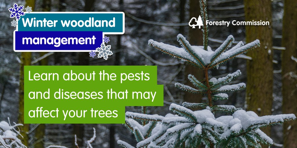 Forestry Commission tweet media