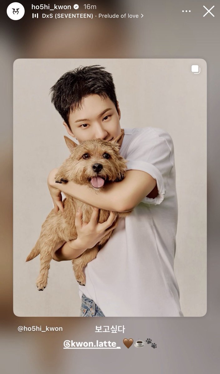 hoshi reposting this pic with latte and the caption "i miss you" with prelude of love as bg music 😔😔😔😔 my hoshilatte 😔🤍