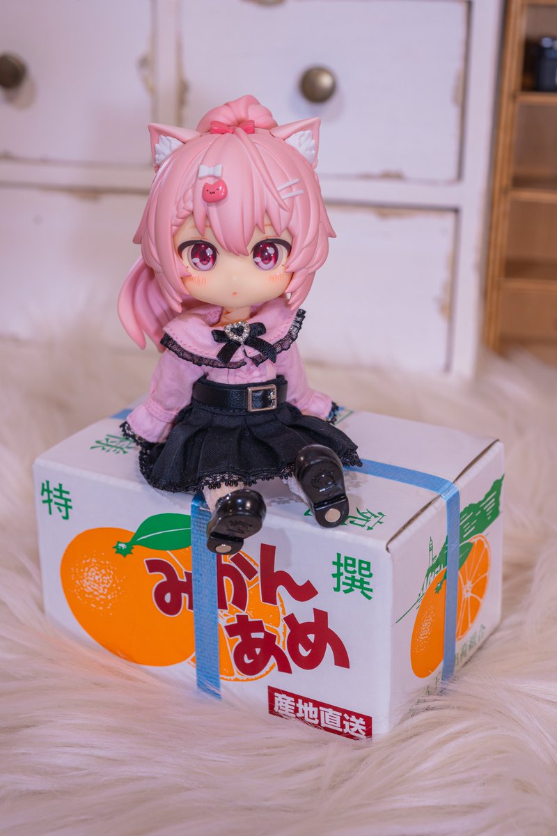 Post by 𝕟𝕒𝕟𝕒𝕤𝕚𝕚(ななしぃ) on X: 🍊