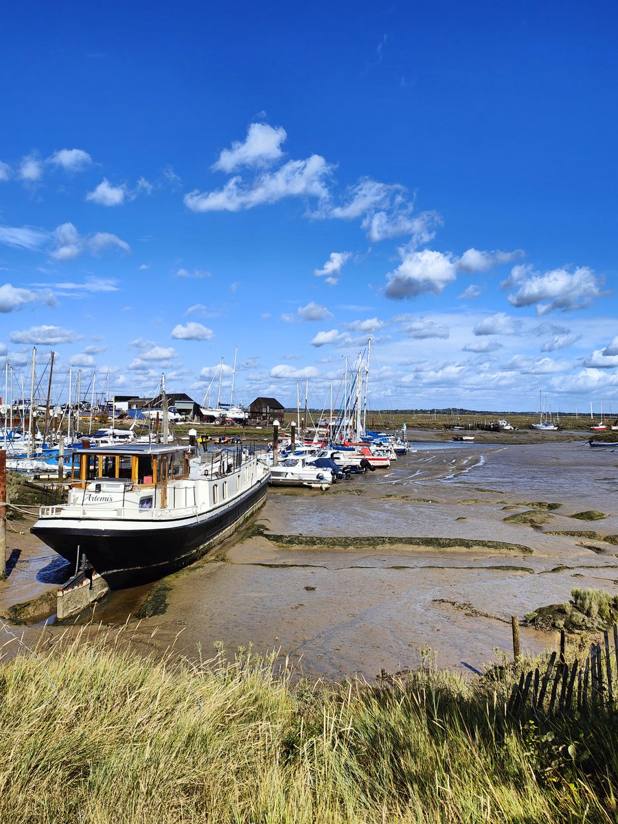 Matt Edwards tweet media