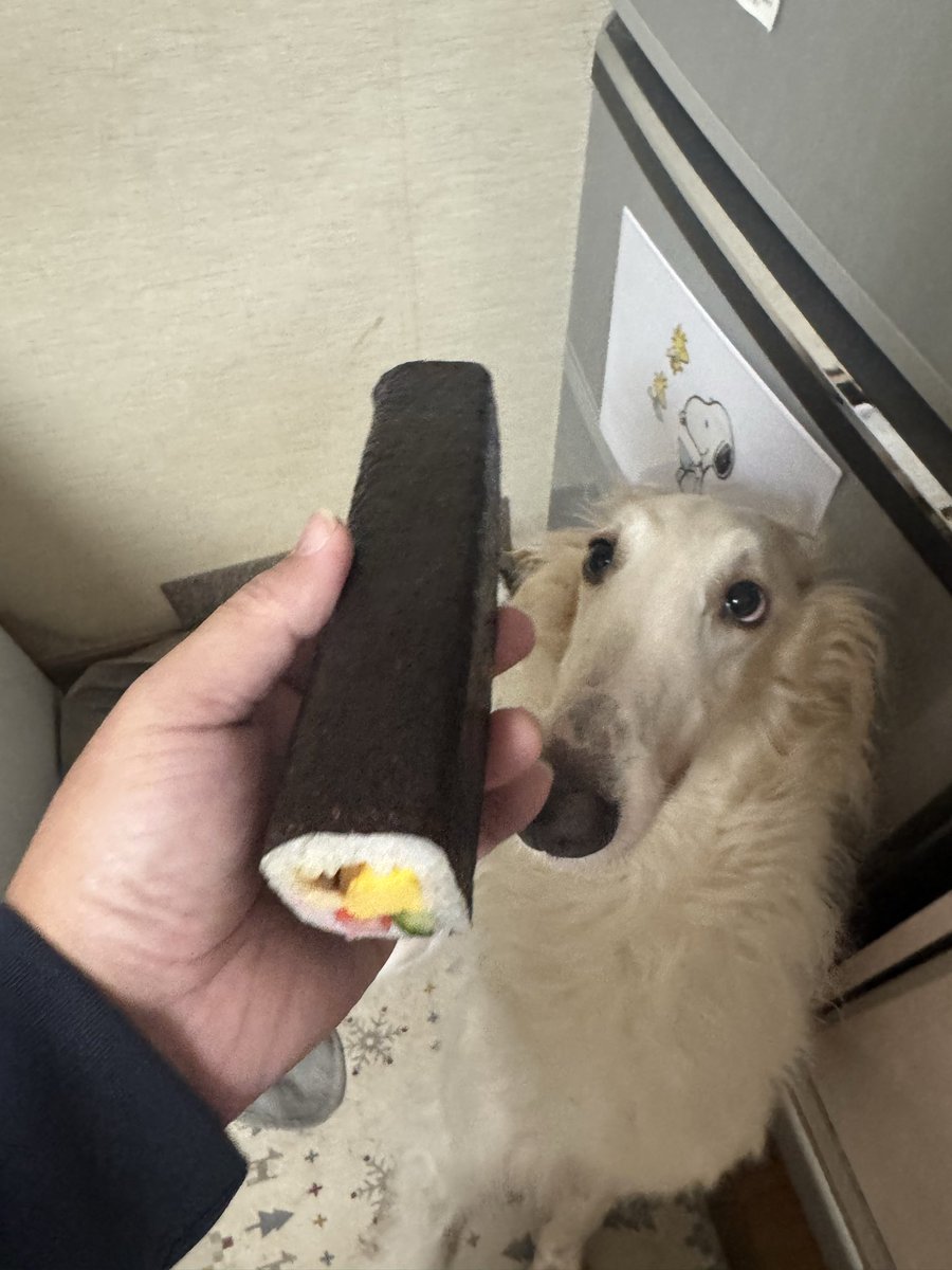 ボルボルたん。 tweet media