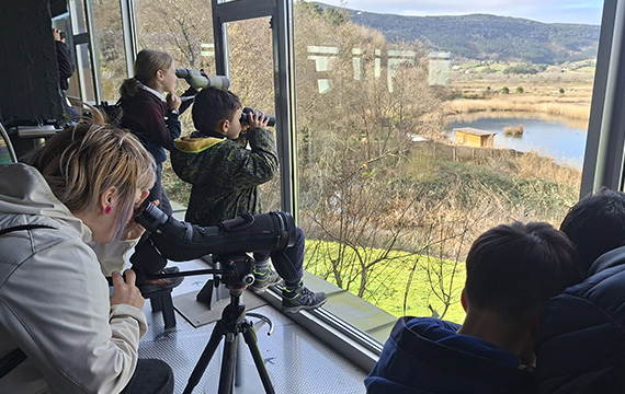 Urdaibai Bird Center tweet media