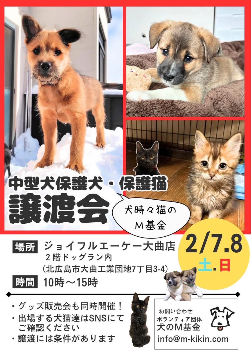 2/7（土）8(日)
保護犬&amp;保護猫譲渡会！
ハンドメイド雑貨あり！
手作りおやつあり！
いろいろあり！

#譲渡会 #犬 #猫 #里親 #チャリティーバザー